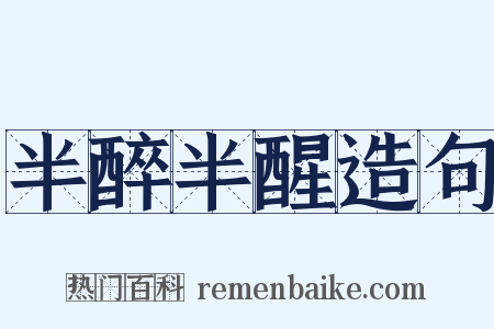 半醉半醒造句是什么意思的图片